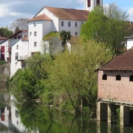 Anetania